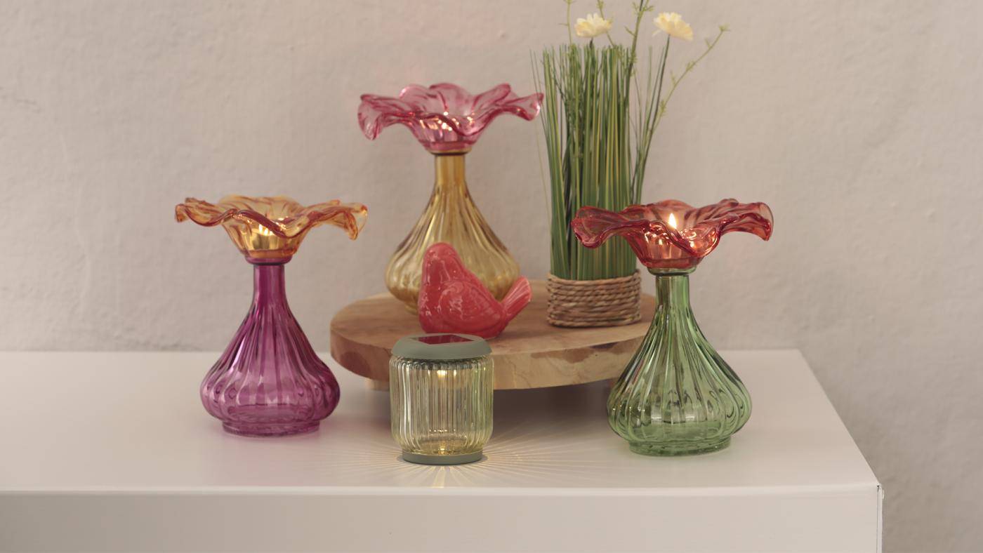 Nueva colección de Jardín