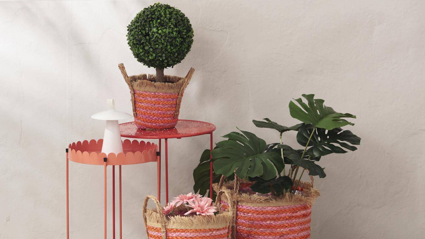 Nueva colección de Cocina