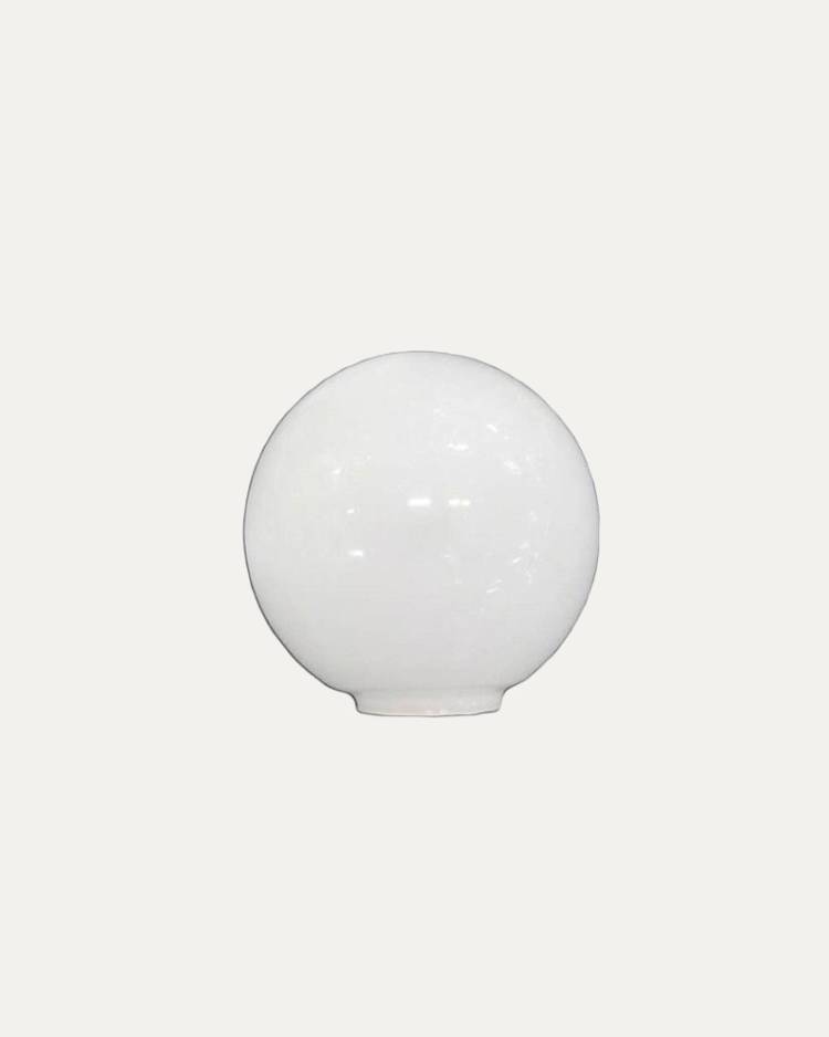 Tulipa Bola