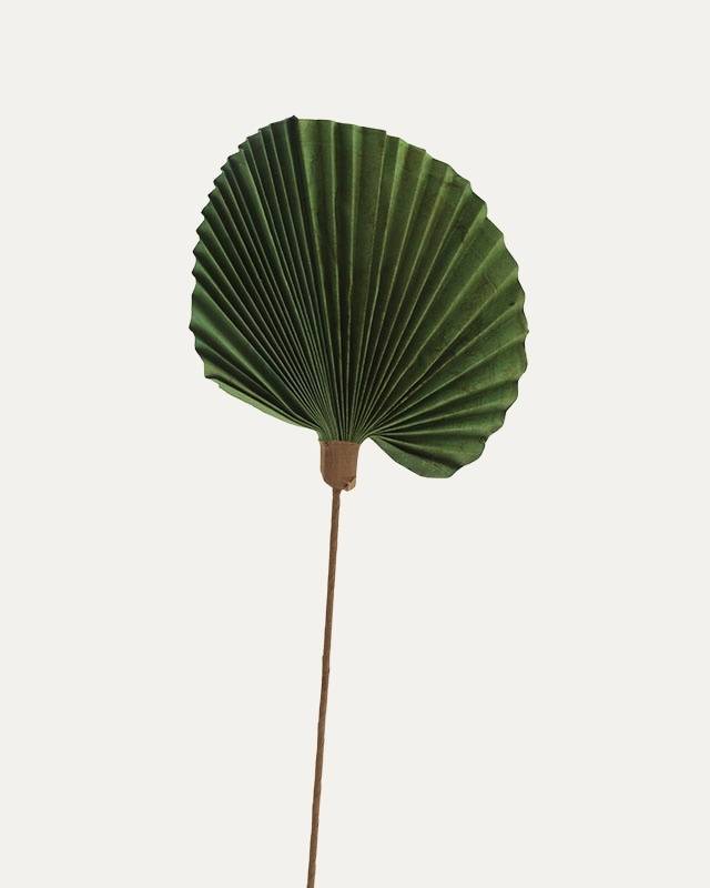 Hoja Decorativa Palm