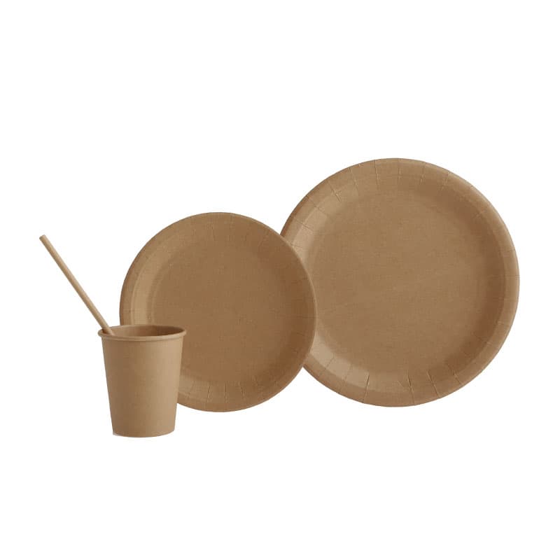 Juego Platos Ecológicos - Vista 3