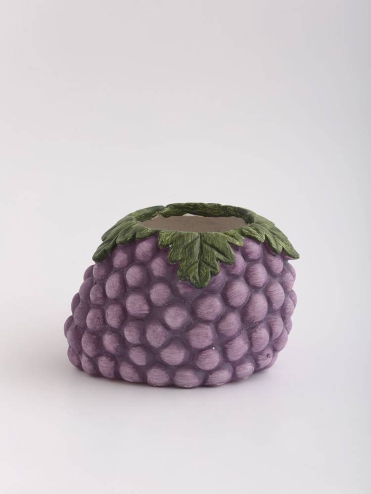 Macetero Fruta - Vista 4