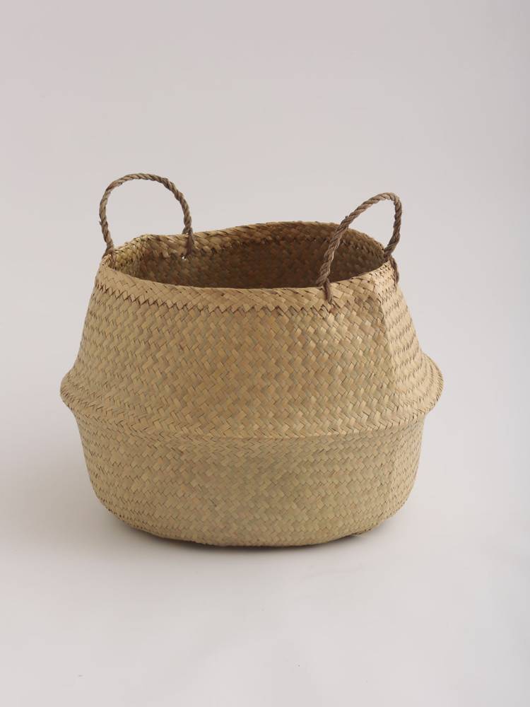 Cesta C/Asas