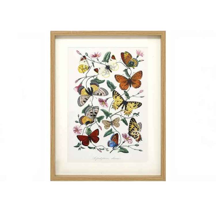 Cuadro Mariposas vista 2