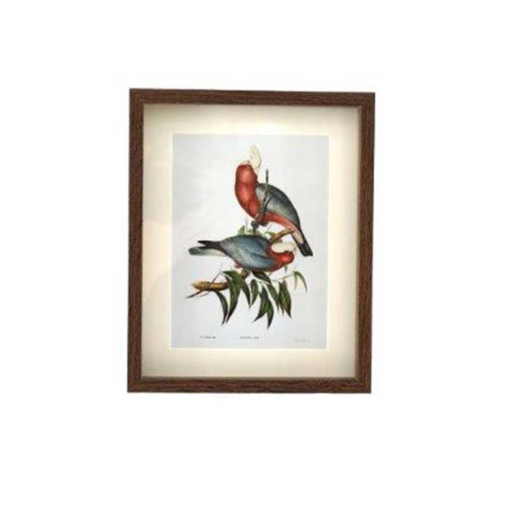 Cuadro Pájaros vista 2