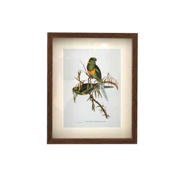 Cuadro Pájaros - Vista 3