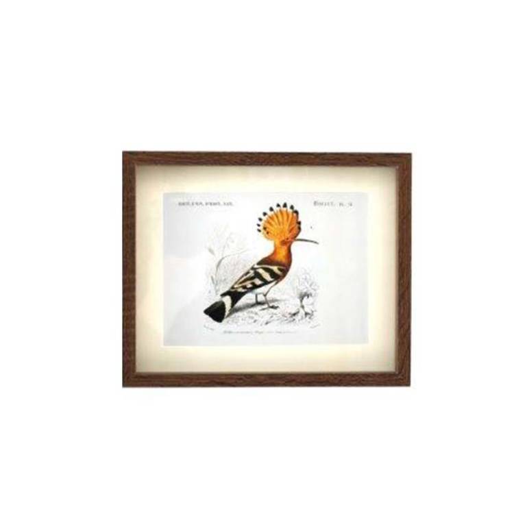 Cuadro Pájaros - Vista 4