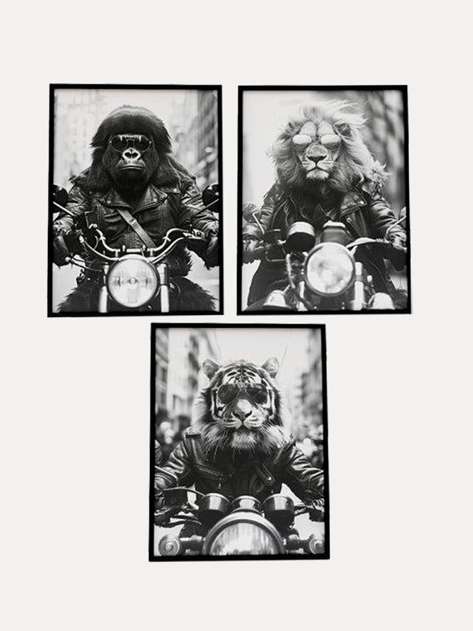 Cuadro Animal Motero