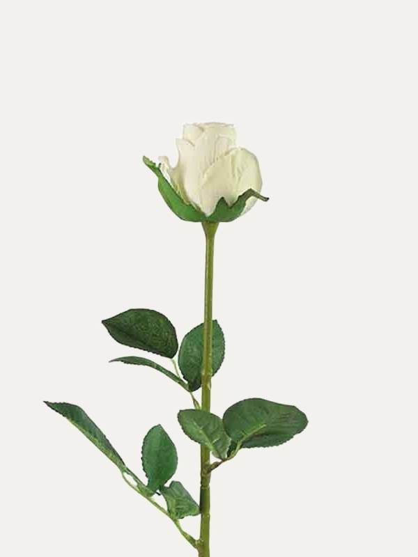 Vara Rosa Blanca
