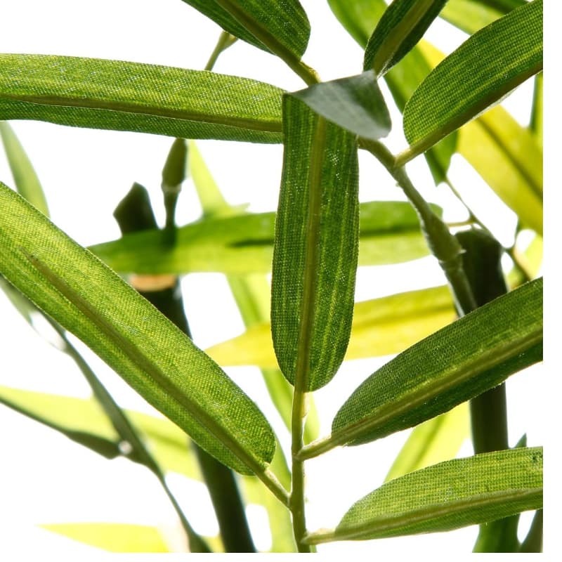 Bambú E/Maceta vista 2