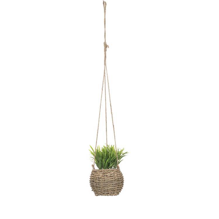 Planta Colgante Zoe vista 2