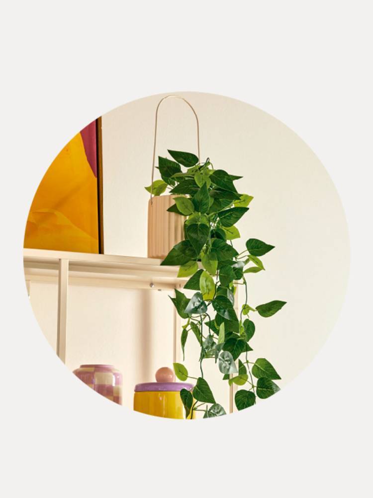 Planta E/Mac Poolside vista 2