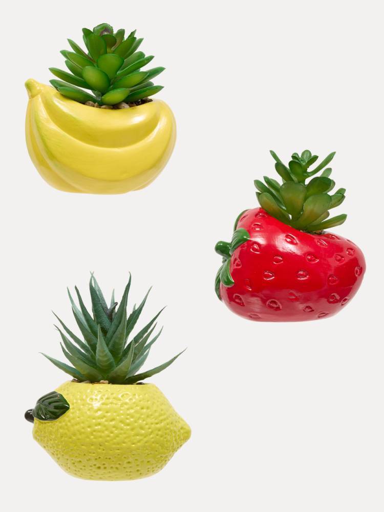 Planta E/Mac Fruity vista 2
