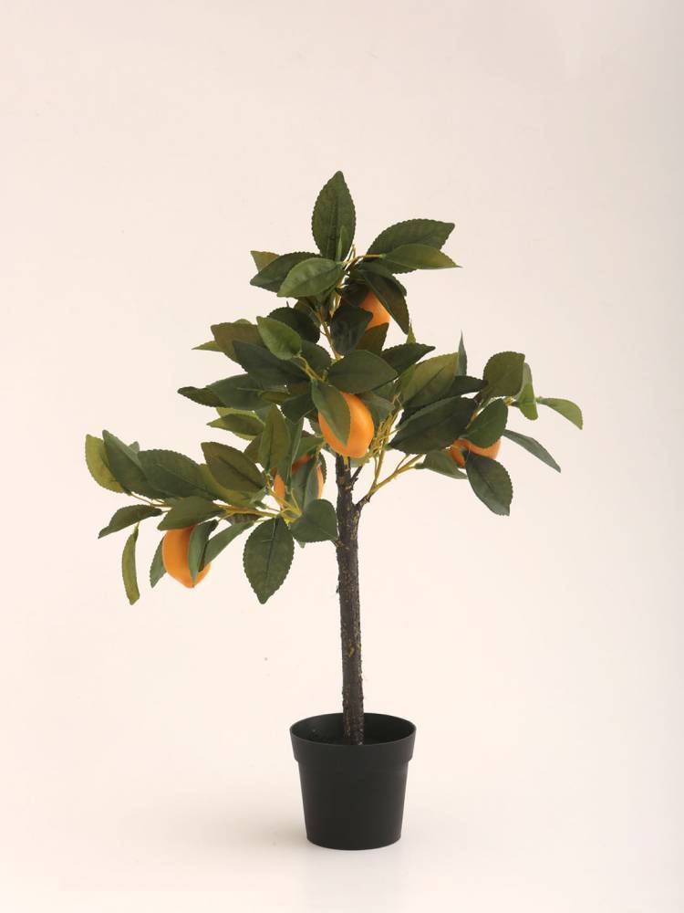 Árbol Frutal vista 2