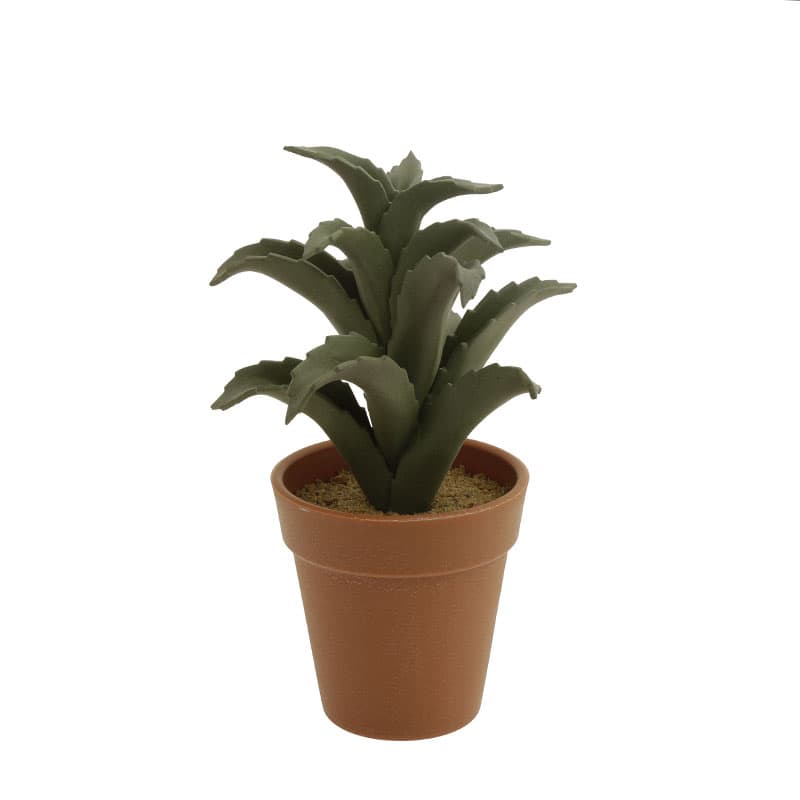 Cactus E/Maceta - Vista 3