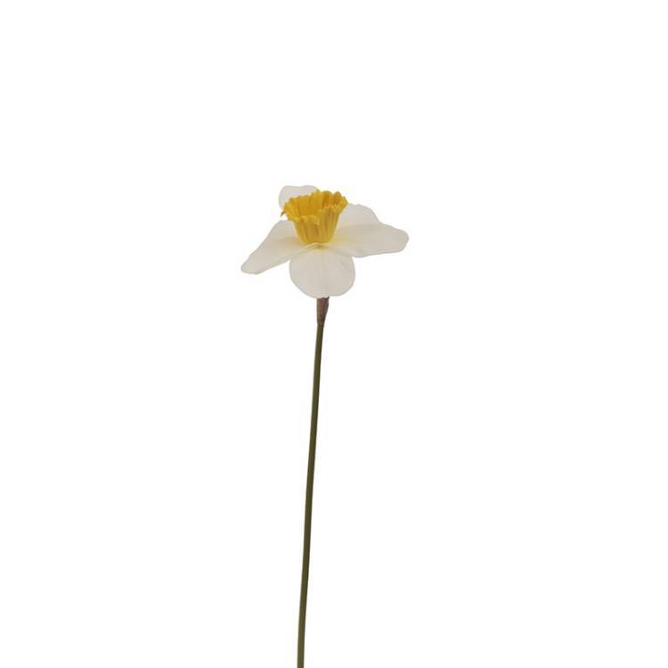 Vara Narciso vista 2