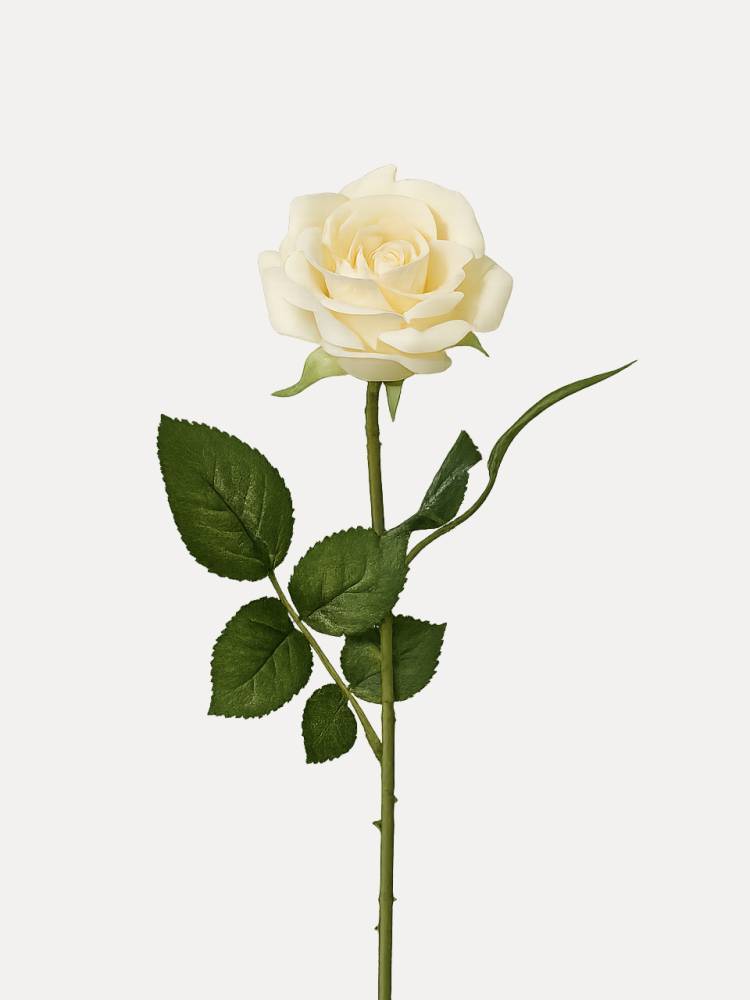 Vara Rosa Beige