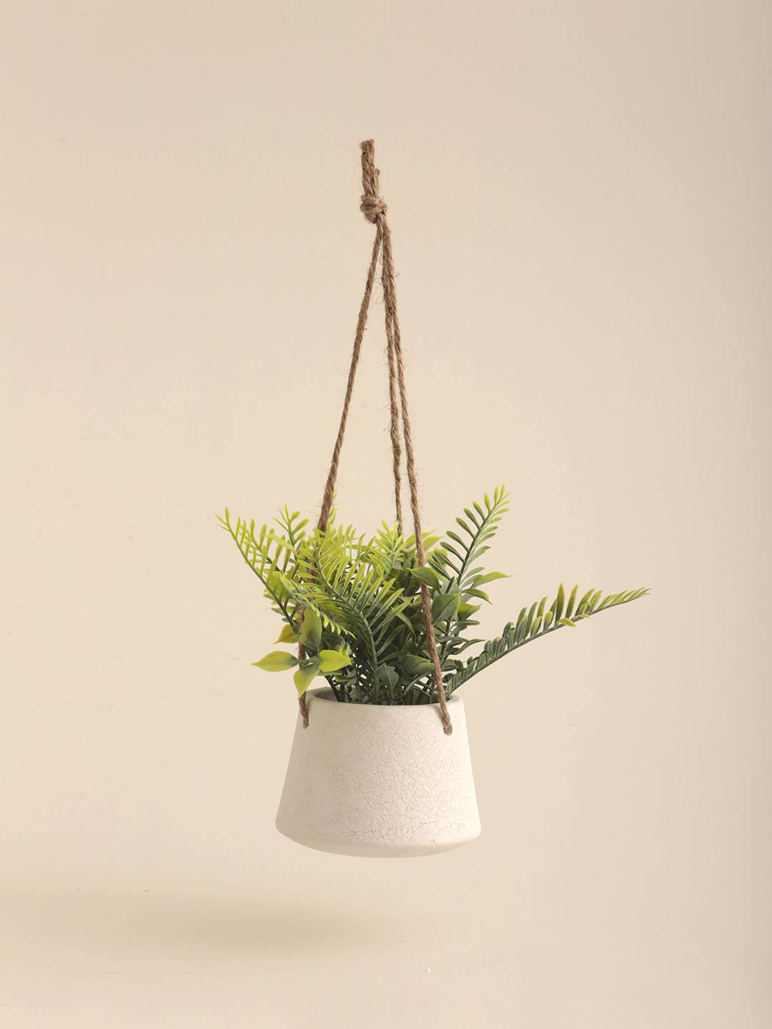 Planta Colgante - Vista 3