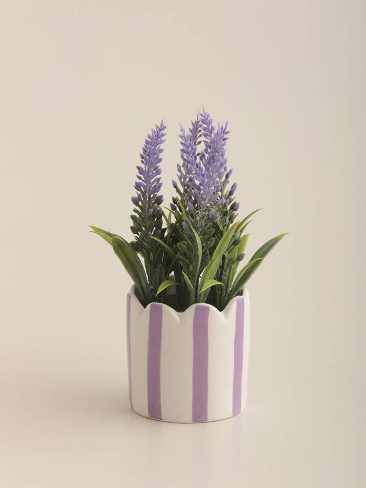 Lavanda E/Maceta vista 2
