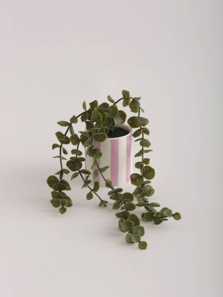 Enredadera - Vista 3