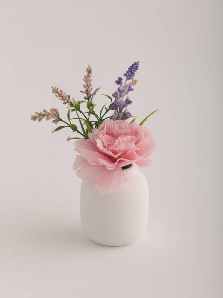 Flores E/Mac
