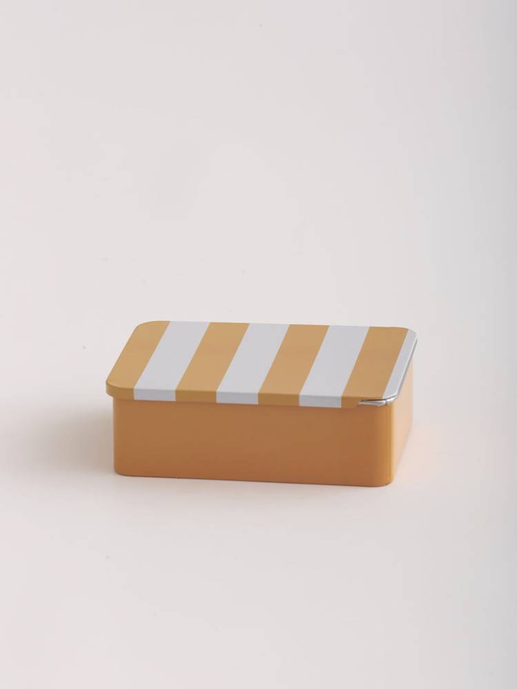 Lata Rayas - Vista 4