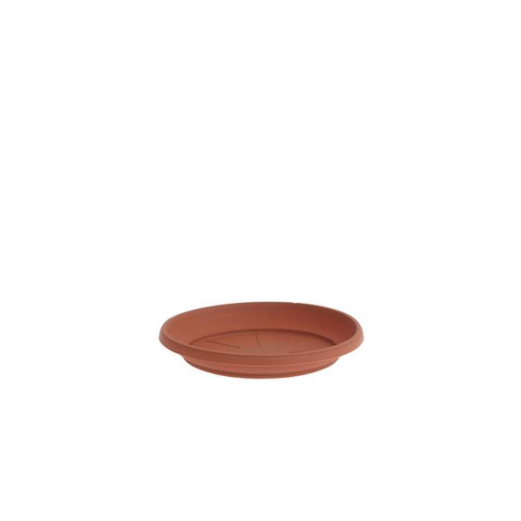 Plato Maceta