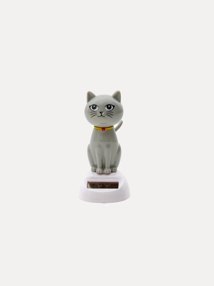 Gato Danzarín vista 2