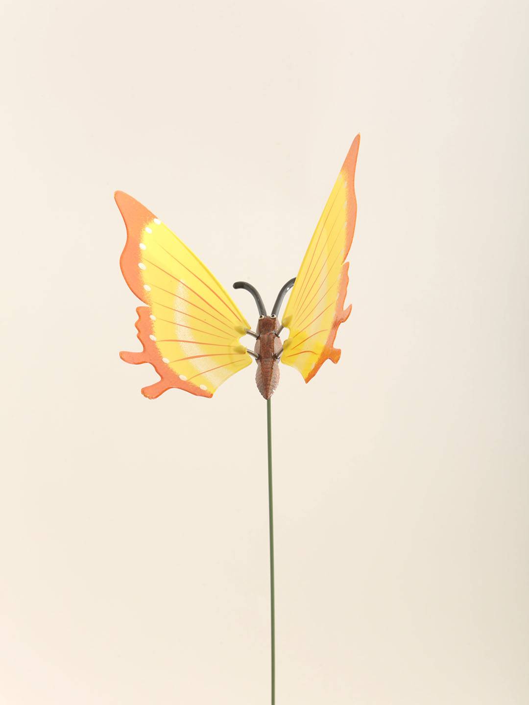 Pick Mariposa vista 2