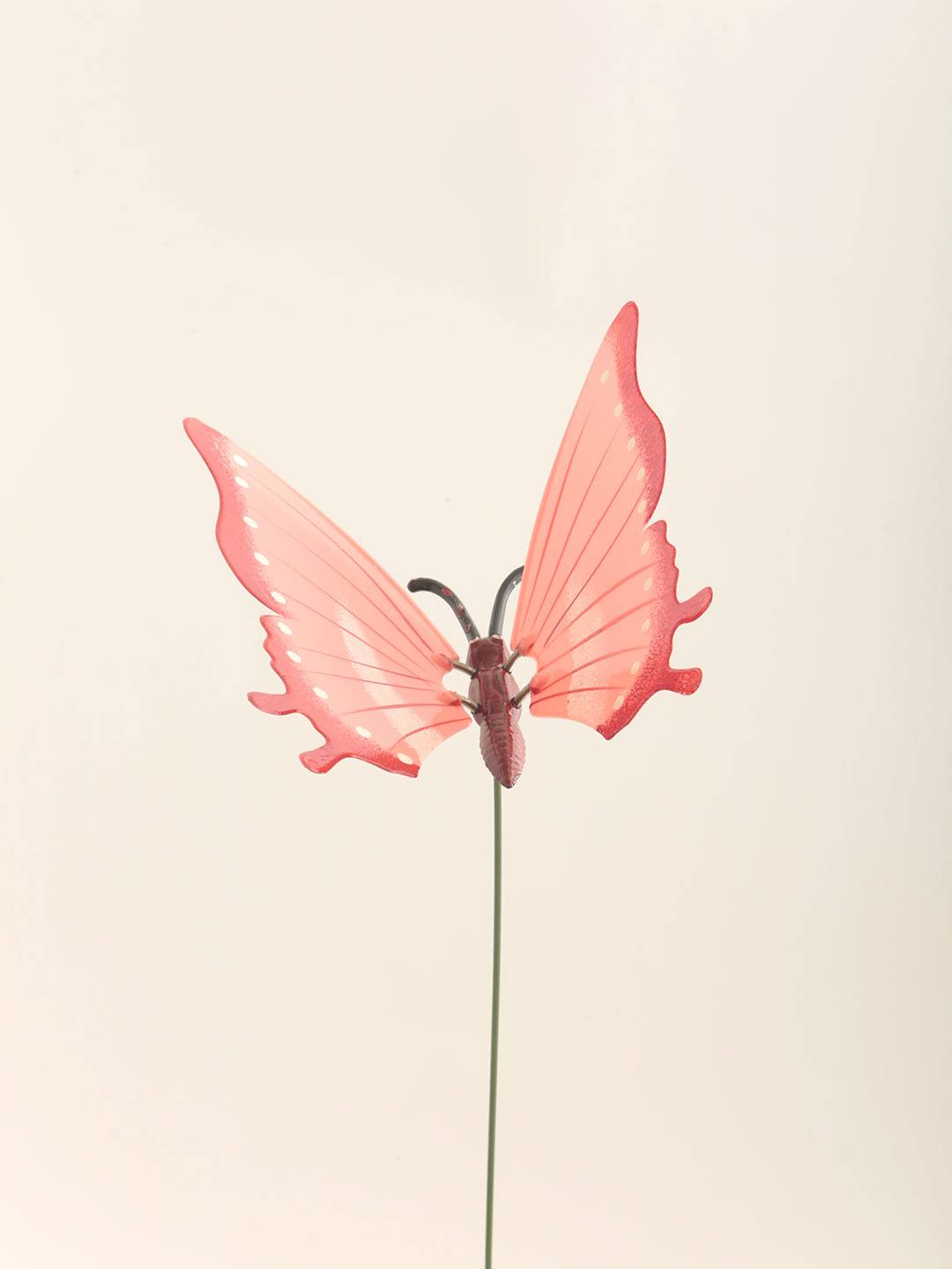 Pick Mariposa - Vista 4