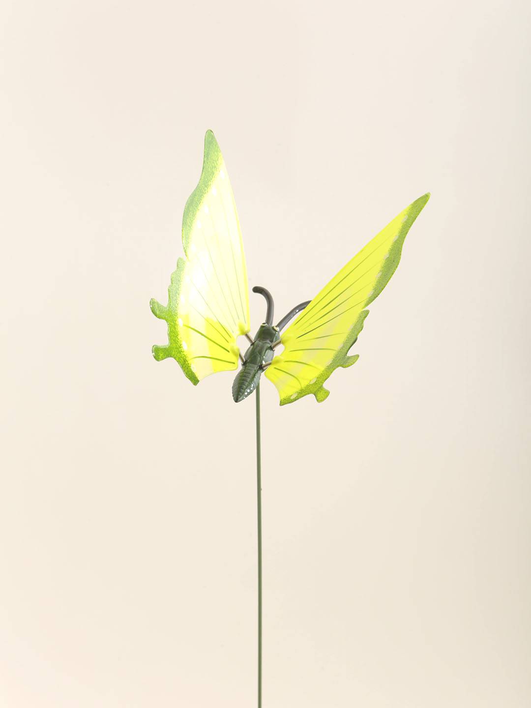 Pick Mariposa - Vista 5