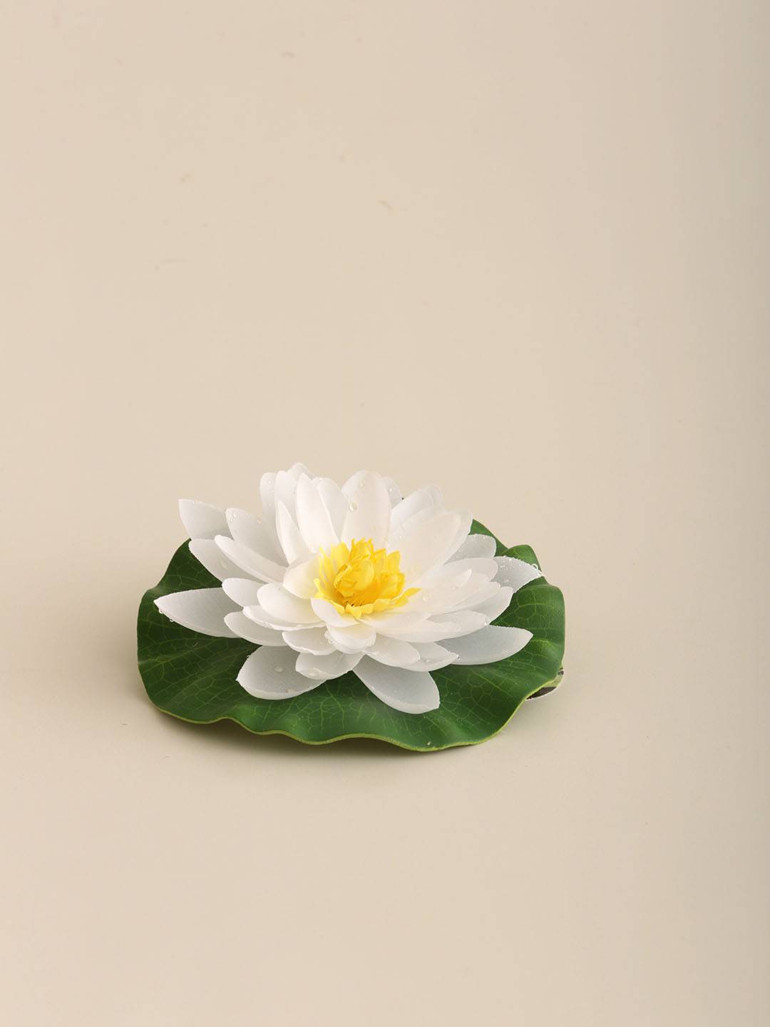 Flor Nenúfar Flotante - Vista 3