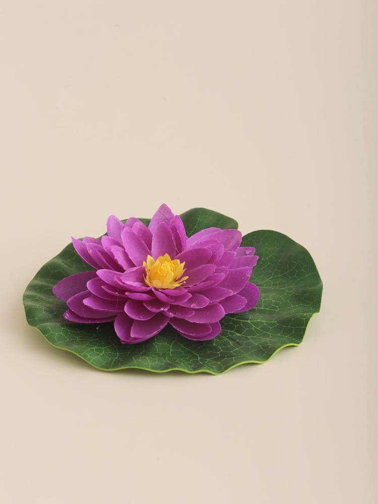 Flor Nenúfar Flotante