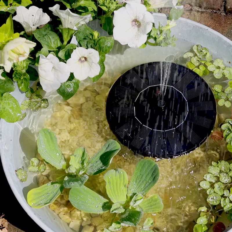 Fuente Solar - Vista 3