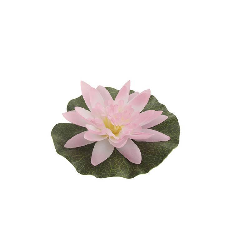 Flor Nenúfar Flotante vista 2