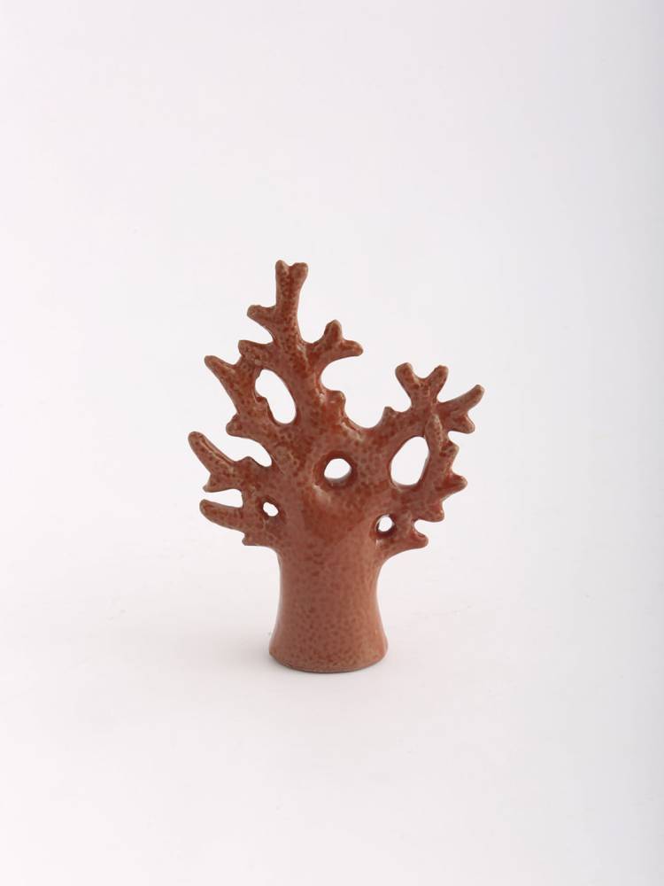 Coral