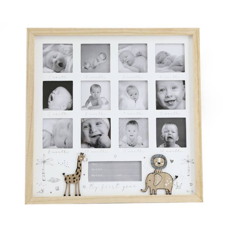 Portafoto First Year