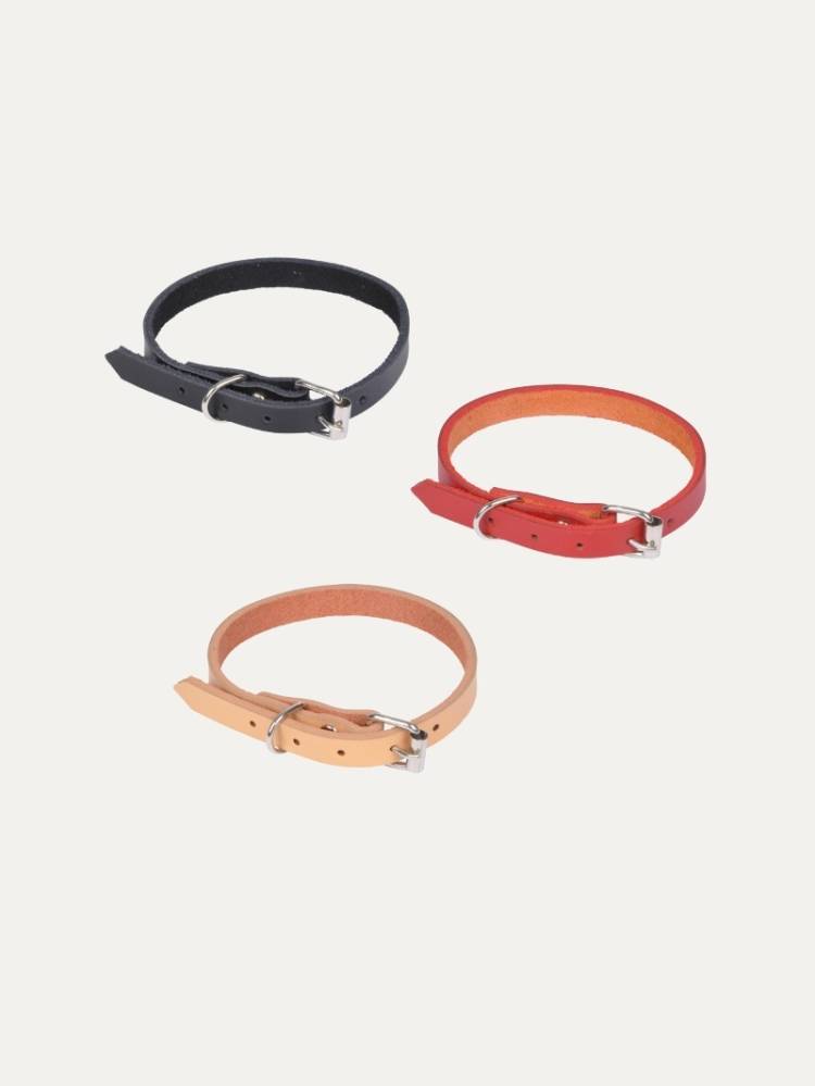 Collar P/Perro
