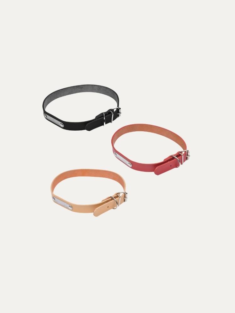 Collar P/Perro