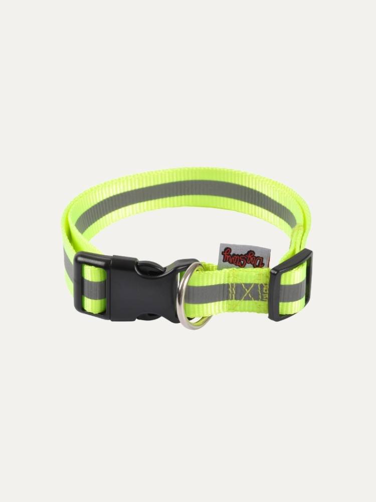 Collar P/Perro Flúo