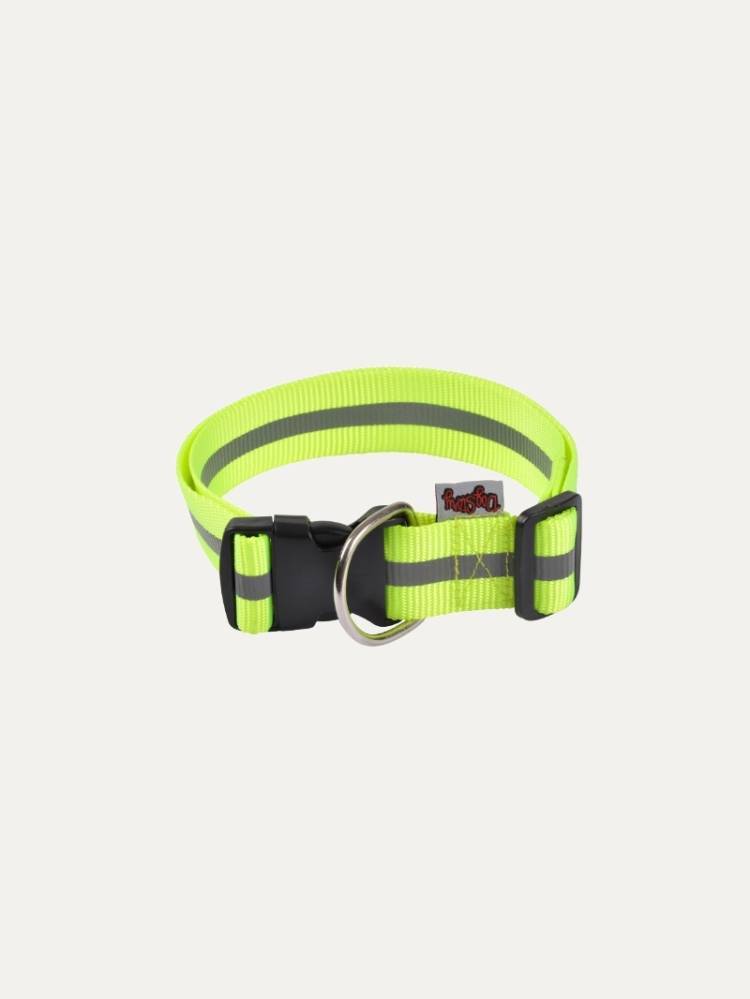 Collar P/Perro Flúo