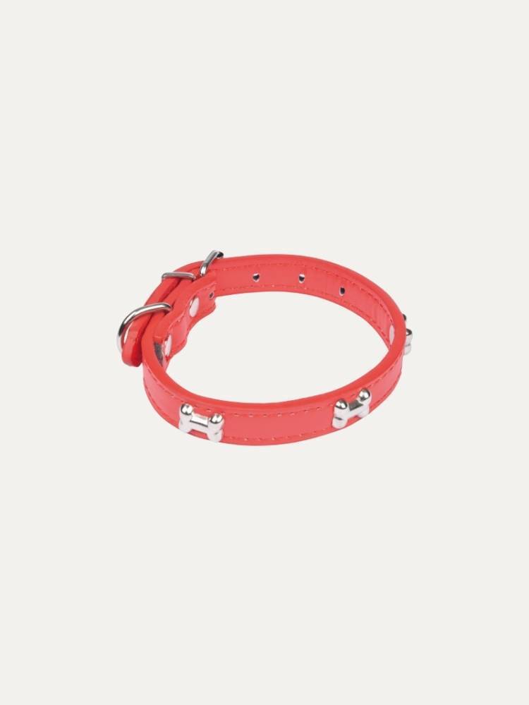 Collar P/Perro C/Huesos
