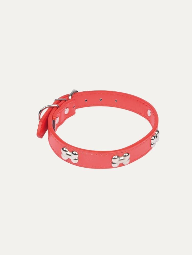 Collar P/Perro C/Huesos