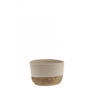 Cesta Algy