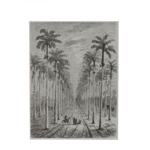 Rocasa Cuadro Colonial