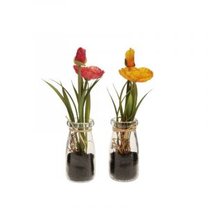Rocasa Amapolas