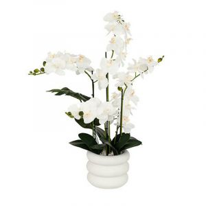 Rocasa Orquidea Artificial E/Mac
