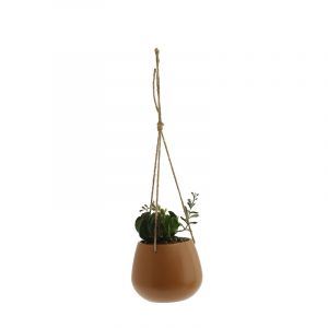 Rocasa Planta Colgante Spring