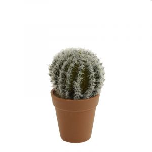 Rocasa Cactus E/Maceta