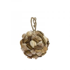 Bola Conchas